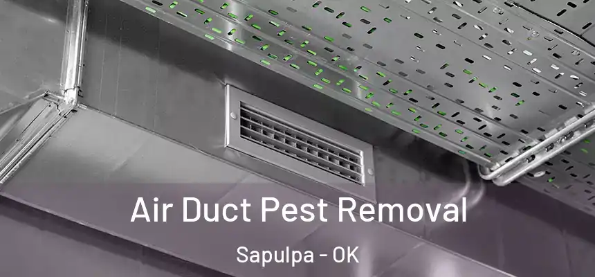  Air Duct Pest Removal Sapulpa - OK