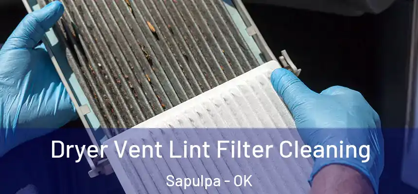  Dryer Vent Lint Filter Cleaning Sapulpa - OK