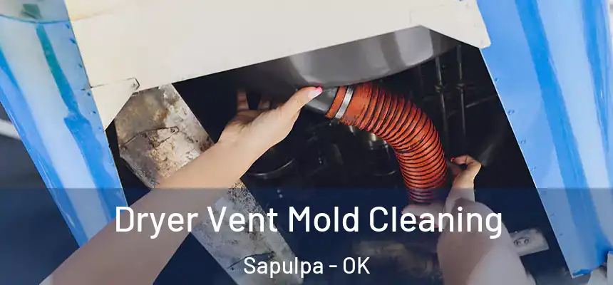  Dryer Vent Mold Cleaning Sapulpa - OK