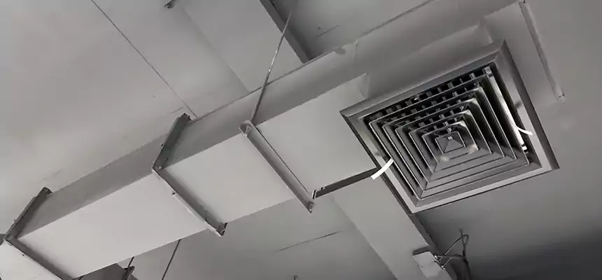 Our Rodent Droppings In Vents Services in Sapulpa, OK