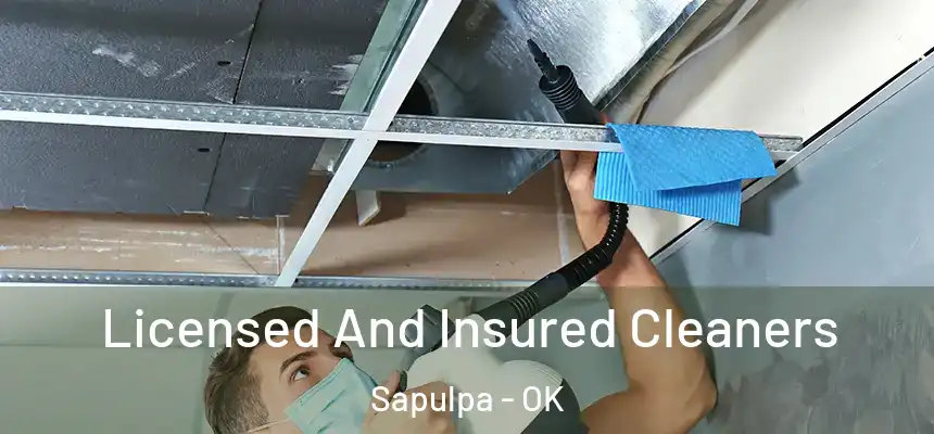  Licensed And Insured Cleaners Sapulpa - OK