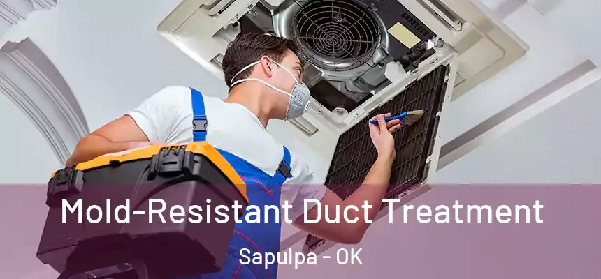  Mold-Resistant Duct Treatment Sapulpa - OK