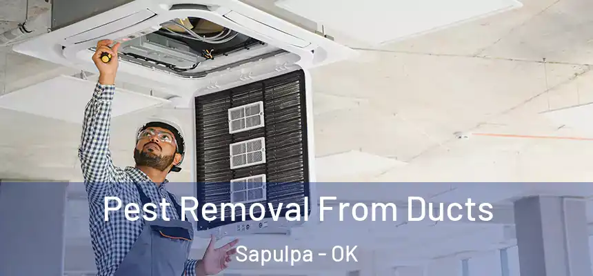  Pest Removal From Ducts Sapulpa - OK
