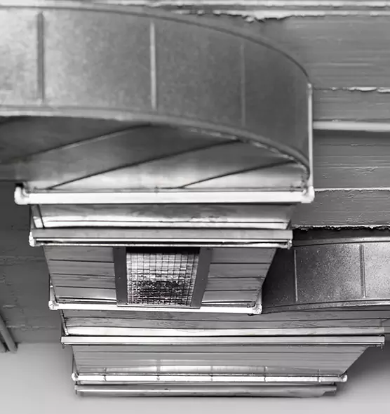 Professional Air Duct Pest Removal in Sapulpa, OK