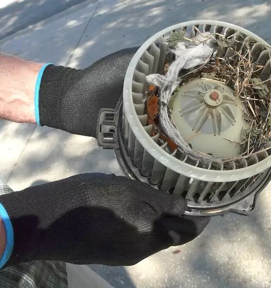 About Air Duct Rat Removal in Sapulpa, OK