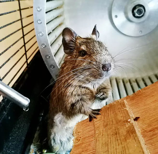 Why Homeowners & Businesses Trust Us Sapulpa, OK